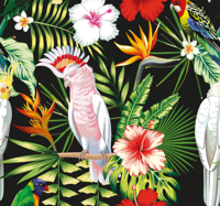 Dieren behang Felle kleuren papegaaien
