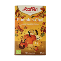 Pumpkin chai bio 17 Zakjes
