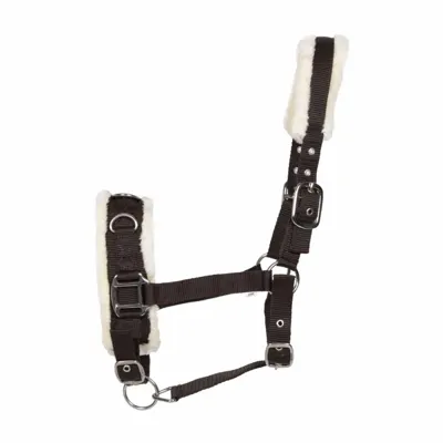 Pagony Longeerhalster/kaptoom bruin maat:pony