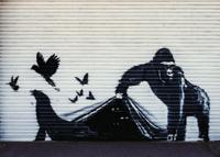 Kunstdruk Banksy - Gorilla London Zoo 70x50cm