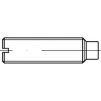 TOOLCRAFT TO-5435022 Draadpen M5 12 mm 100 stuk(s) - thumbnail