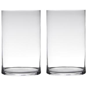 Hakbijl Glass cilinder Bloemenvaas - Set van 2x stuks - glas - transparant - D19 x H25 cm - Bloemen/