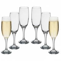 Secret de Gourmet Champagneglazen Paola - 24x stuks - prosecco/cava glazen - 120 ml