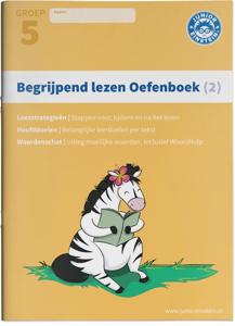 Begrijpend lezen (Paperback)