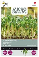 Microgreens Borage - Buzzy