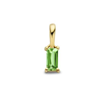 14K Geelgouden Hanger Mei Geboortesteen 9mm