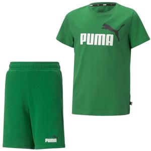 PUMA Essentials+ 2 Logo Zomerset Kids Groen Wit Zwart