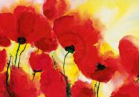 Kunstdruk Heidi Reil - Roter Mohn Toskana 100x70cm Kunstdruk Heidi Reil - Roter Mohn Toskana 100x70cm