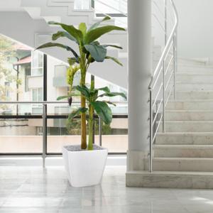 Bananen kunstboom 180cm