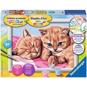 Katten schilderen op nummer - knutselset