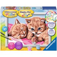 Katten schilderen op nummer - knutselset