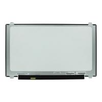17.3 Inch LCD Scherm 1920x1080 Mat 30Pin eDP, IPS