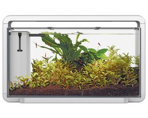 Superfish Home 30 Aquarium - Wit 25L met Dimbare LED en Geïntegreerd Filter