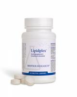 Lipidplex