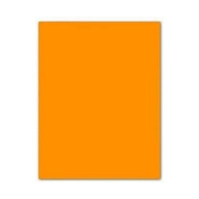 Fiches Iris Oranje 50 x 65 cm