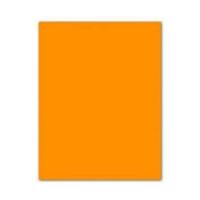 Fiches Iris Oranje 50 x 65 cm
