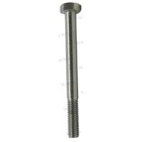 PAGB/T5782-M16X65 - MOER M6x65 Parsun