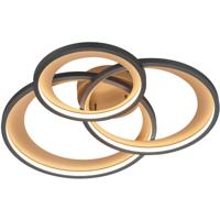 Dimbare LED Plafondlamp 36W 3000K - Mat Zwart Aluminium Ovaal