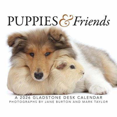 Puppies en Vrienden Scheurkalender 2026 Boxed