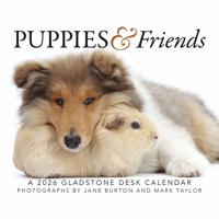 Puppies en Vrienden Scheurkalender 2026 Boxed
