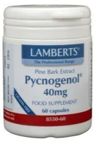 Lamberts Pycnogenol 40 mg Capsules