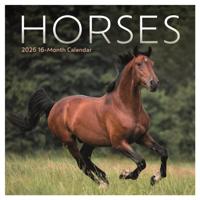 Paarden Kalender 2026 Mini