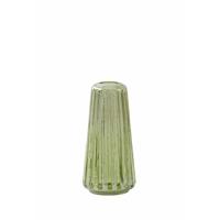 Light & Living Vaas Remy Groen - Glas - 12x26x12cm (BxHxD)