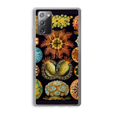 Haeckel Ascidiae: Samsung Galaxy Note 20 / Note 20 5G Transparant Hoesje