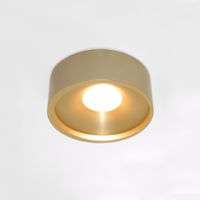 Artdelight Plafondlamp Orlando  Ø 14 cm mat mat goud - thumbnail