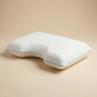 Hoofdkussen Ergonomisch - Orthopedisch - Voor Zijslaper & Rugslaper En Buikslaper - Traagschuim - Ondersteunend & Drukverlagend En - Dekbed-Discounter.nl