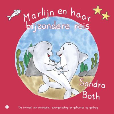 Marlijn en haar bijzondere reis (Paperback)