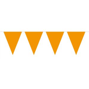 Oranje Mini Punt Vlaggenlijn (3m)