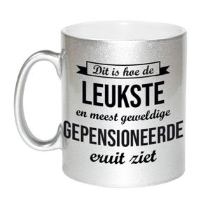 Hoe de leukste gepensioneerde eruitziet zilveren koffiemok / theebeker afscheidscadeau pensioen / VUT 330 ml   -