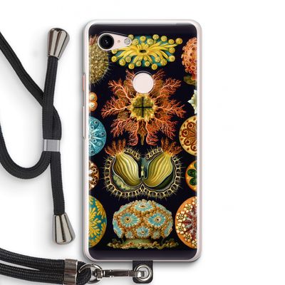 Haeckel Ascidiae: Pixel 3 Transparant Hoesje met koord