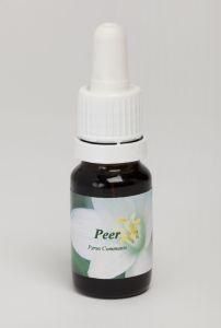 Peer