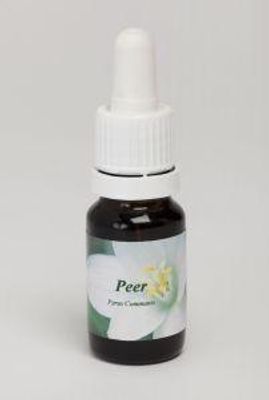 Peer