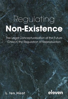 Regulating Non-Existence - L. ten Haaf - ebook
