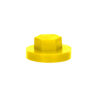pgb-Europe PGB-FASTENERS | Afdekkap zeskant SW 3/8" (19mm) R1023 0AFD06N00001910235