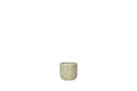 Pot Bolino mint D8 H8 mini