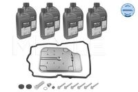 Artikelset, olieverversing-automaat 0141351212