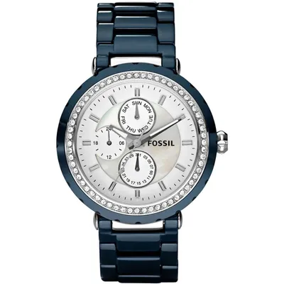 Horlogeband Fossil CE1047 Staal Blauw