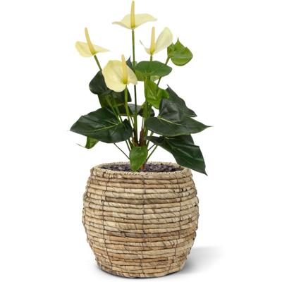 Anthurium kunstplant 40cm - crème
