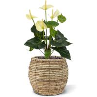 Anthurium kunstplant 40cm - crème