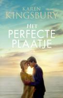 Het perfecte plaatje (Paperback)