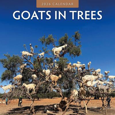 Goats in Trees Kalender 2026