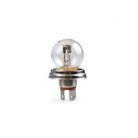 Gloeilamp voor de auto MTECZ48 M-Tech Z48 R2 Halogeen 12 V