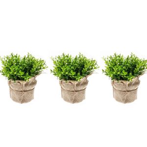 Set van 3x Kunstplanten tuinkers groen in jute pot 16 cm