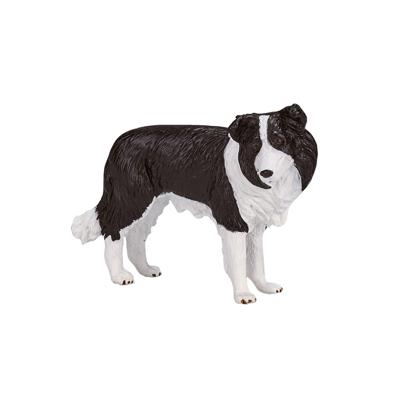 Mojo farmland border collie 387203