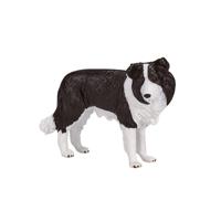 Mojo farmland border collie 387203