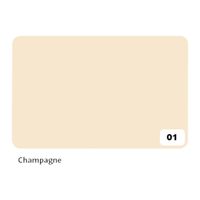 Fotokarton Folia 2zijdig 50x70cm 300gr nr01 champagne - thumbnail